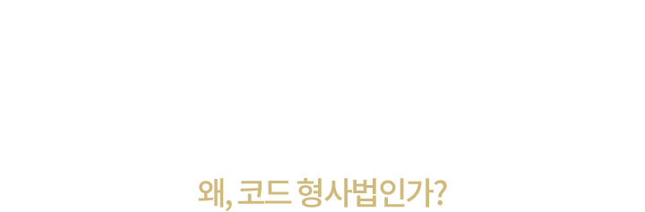 형사법 전문가