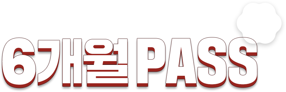 6개월 패스