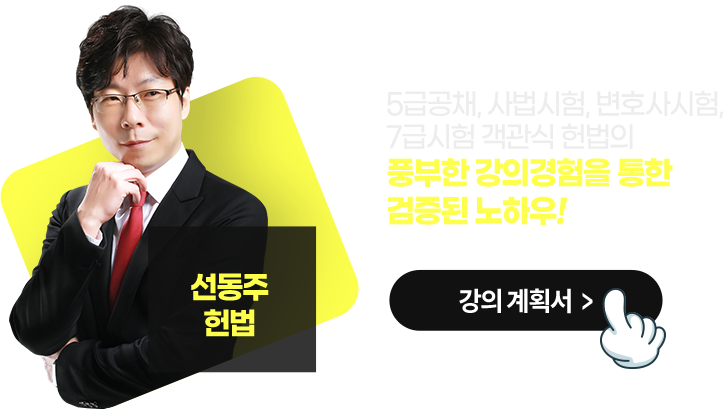 선동주 헌법