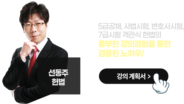선동주 헌법