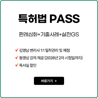 특허법 패스