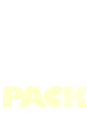실전 팩