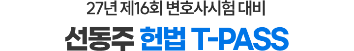 헌법 티패스